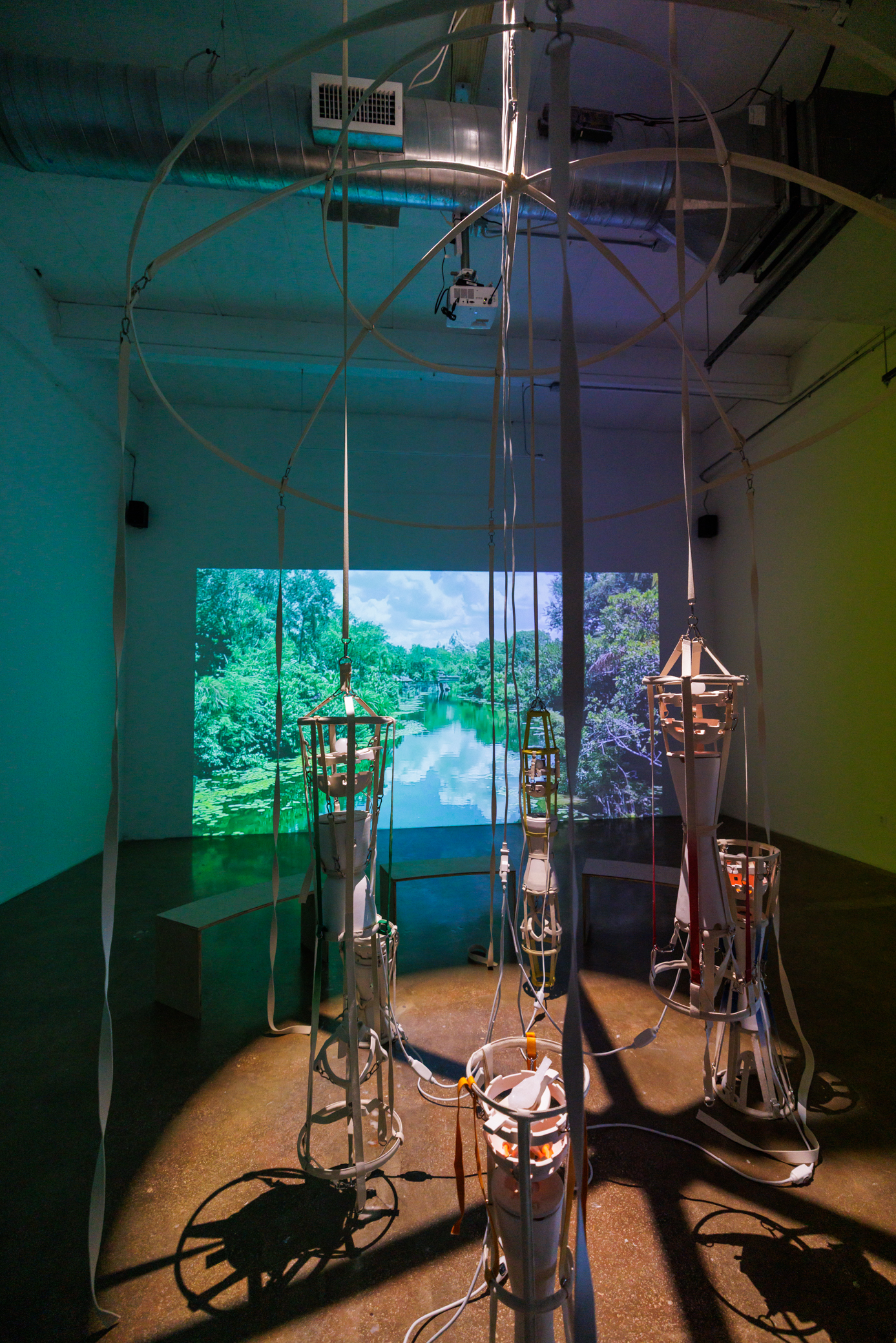 locust_projects